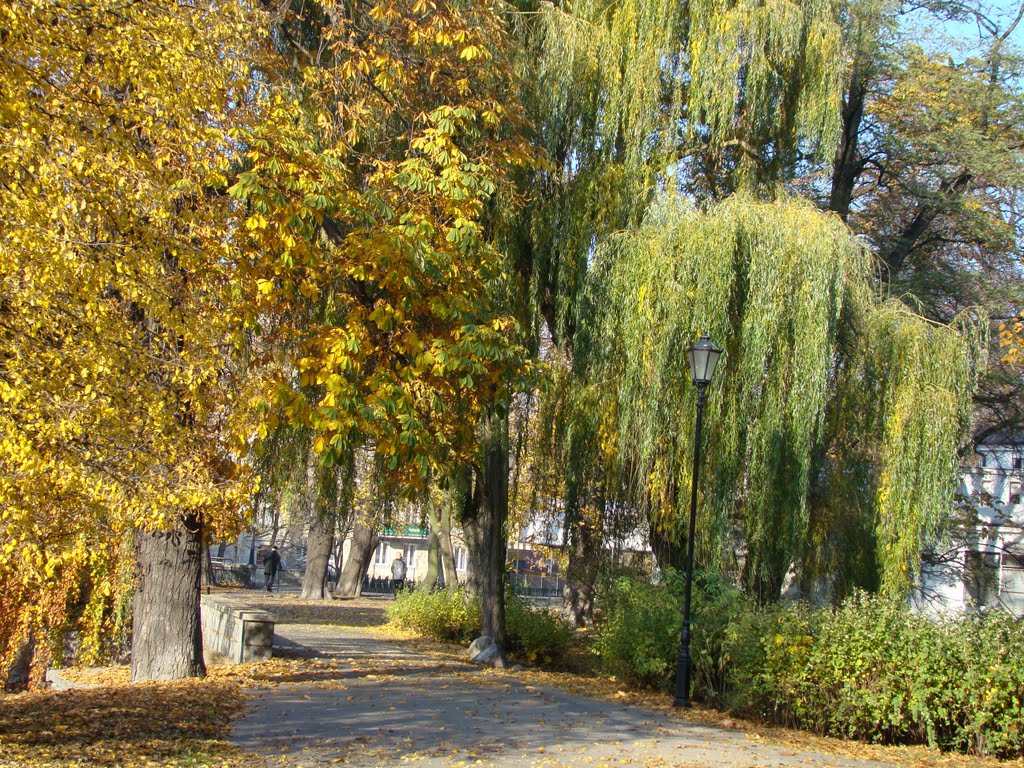 PARK KALISZ barwy jesieni 17