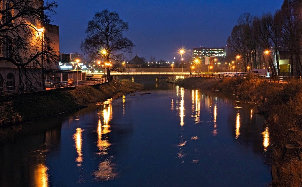 Kalisz nocą
