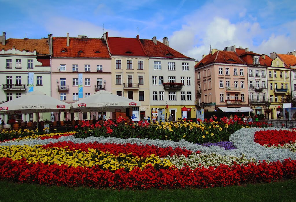 Rynek