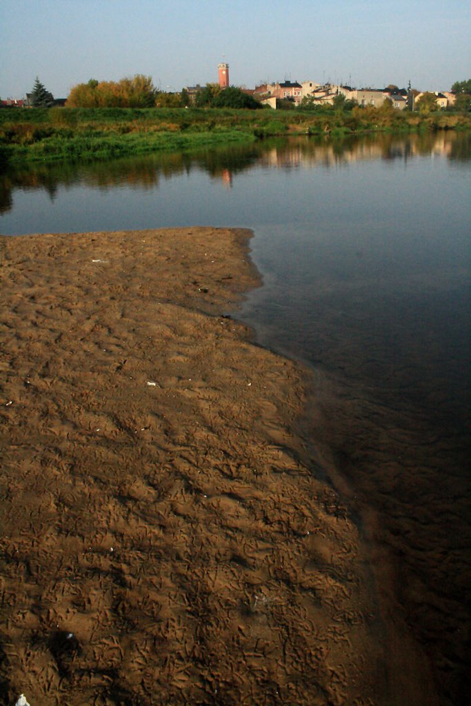 Koło - Widok na stare miasto, z nad rzeki Warty (View of the old city, on the Warta River)
