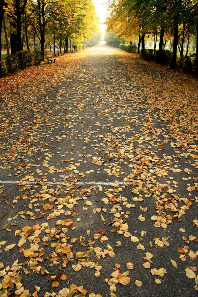 Koło - Park 600-lecia, deptak (Park Six Hundred Years, promenade)