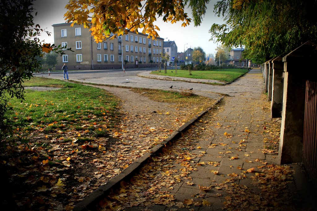 Koło - ul. Broniewskiego (Broniewskiego street)