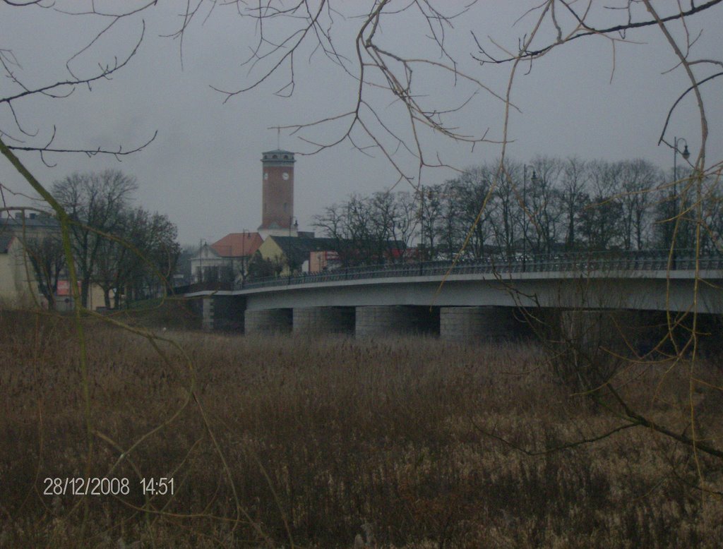 mała panorama miasta Koło(Poland)