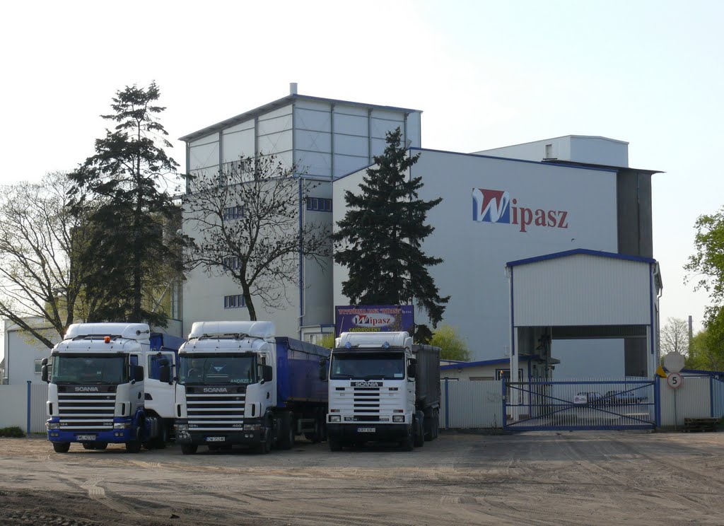 Wipasz Koło