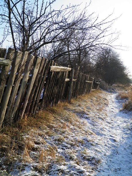 Koło, nad Wartą