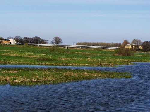 Koło