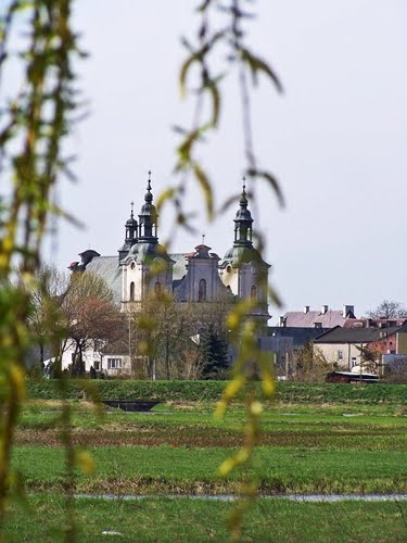 Koło