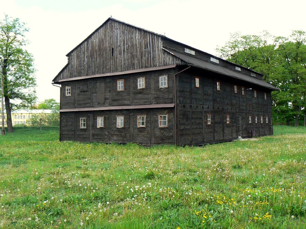 Koło - the historic wooden granary from XIX century  (see first comment)