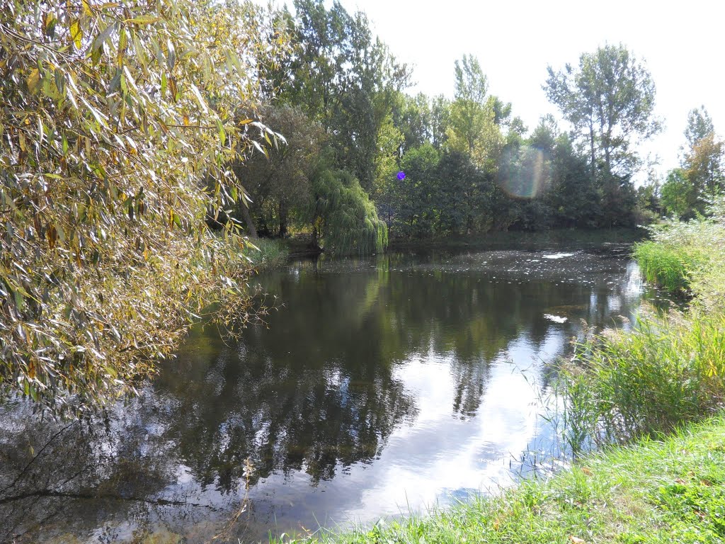 Koło: Park 600-lecia