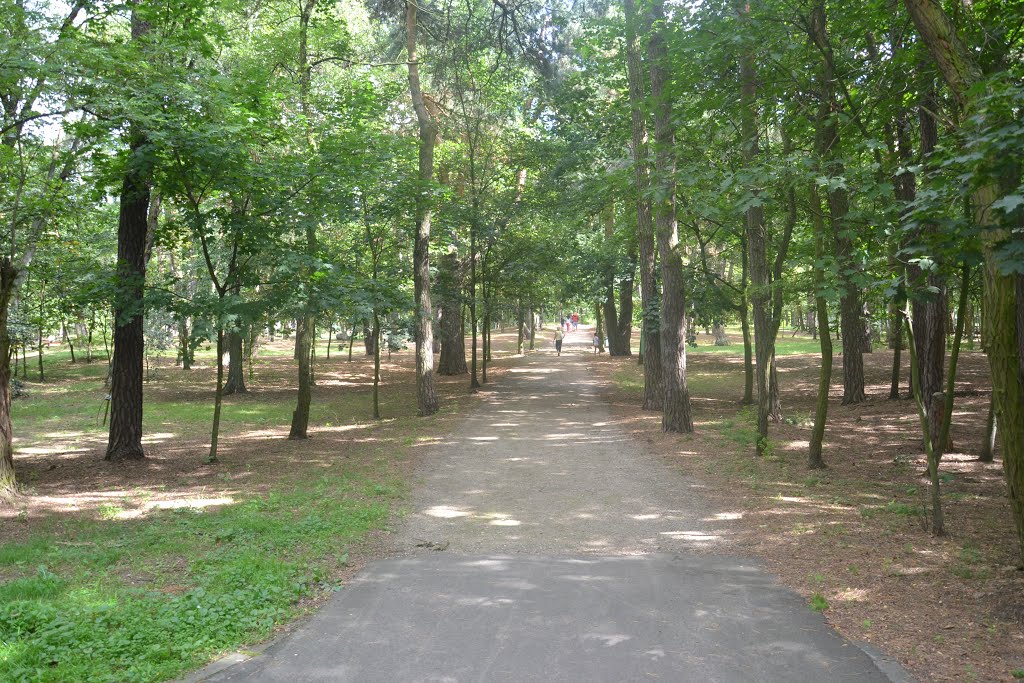 Konin - Park miejski im. Fryderyka Chopina