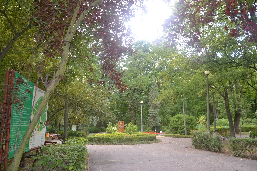 Konin - Park miejski im. Fryderyka Chopina