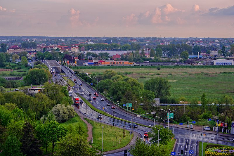 Konin