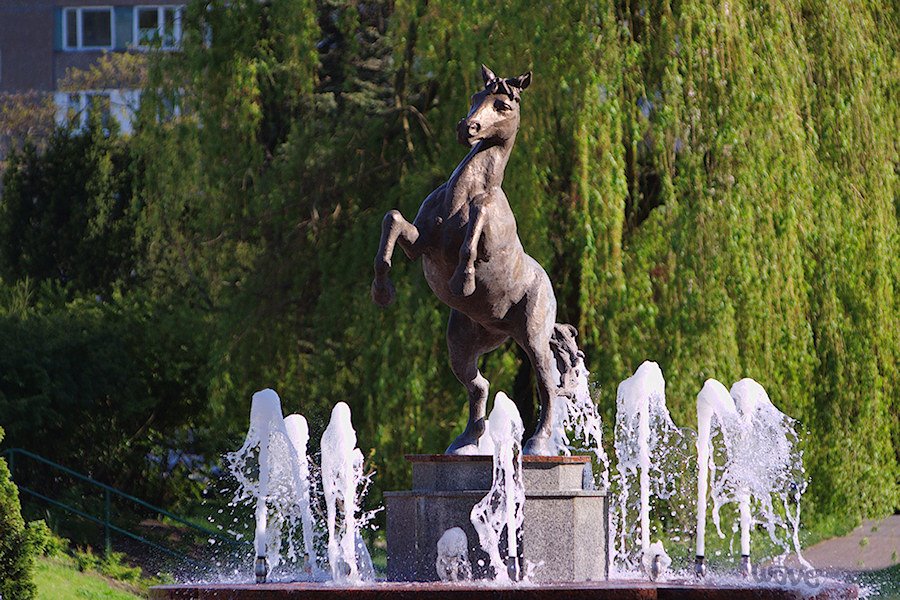 Symbol of Konin