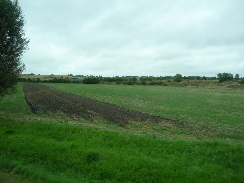 Konin