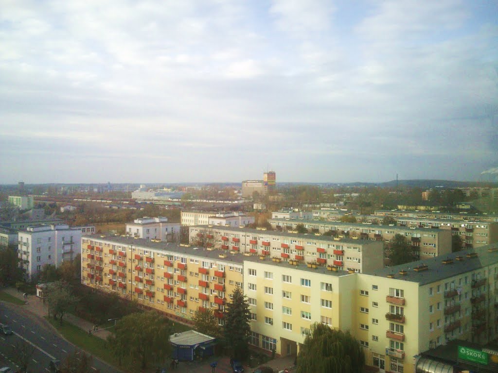 KONIN 3 os.