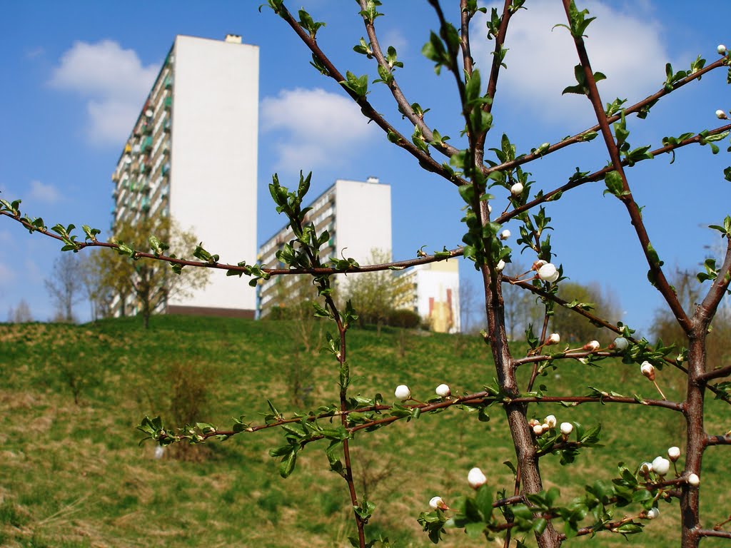 Natura i beton