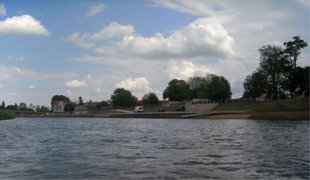 Konin