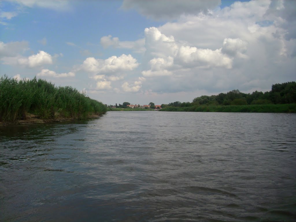 Konin