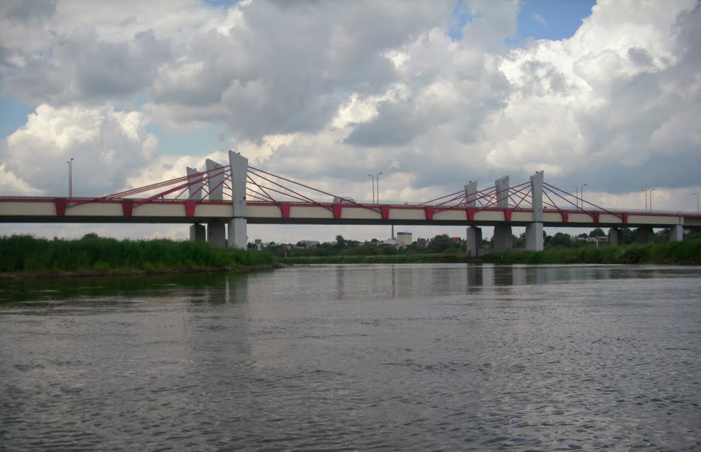 Konin