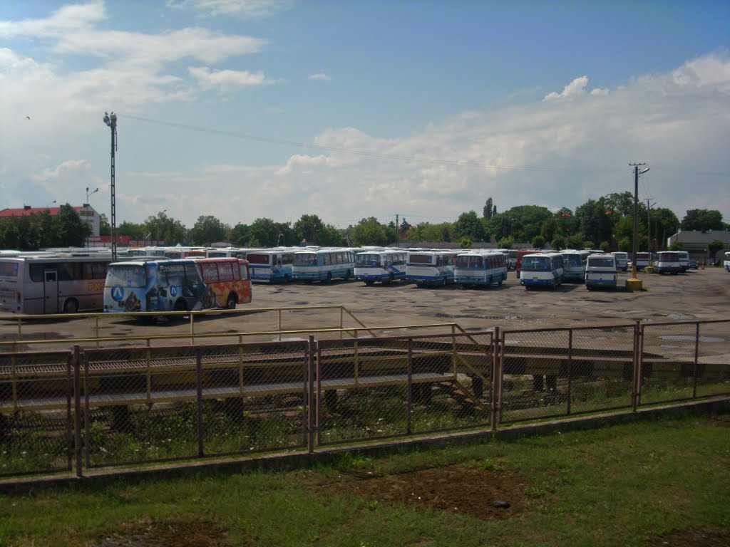 Konin