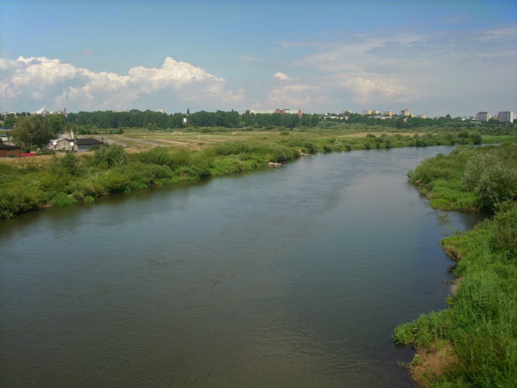 Konin