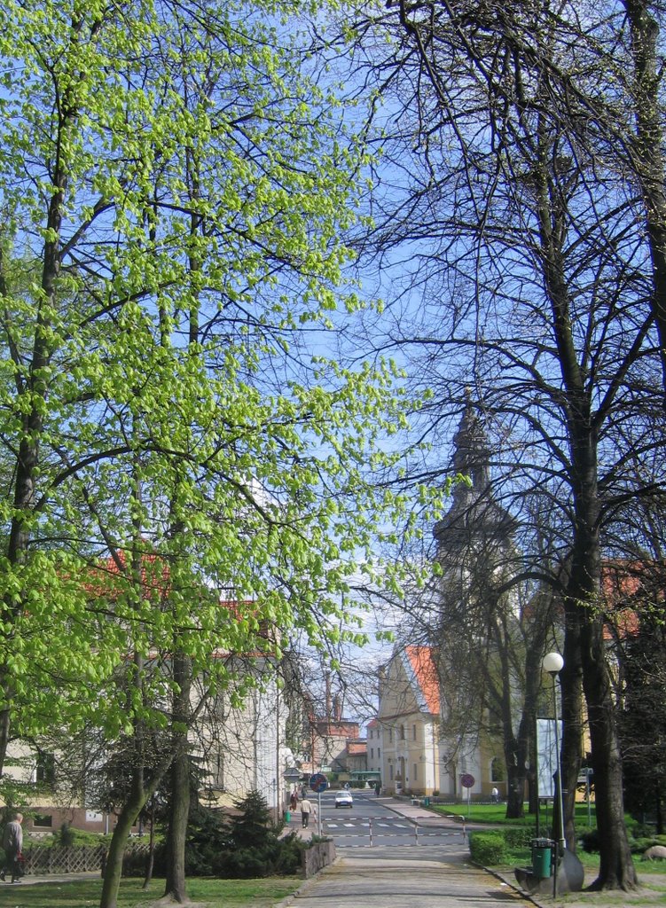 Park. Widok pl. Wolności. Fot. Izabela Bartoś