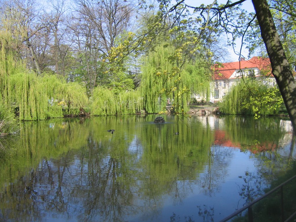 Park Wojska Polskiego. Fot. Izabela Bartoś