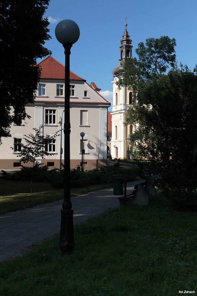 Kościół Świętych Apostołów Piotra i Pawła w Krotoszynie - widok z parku