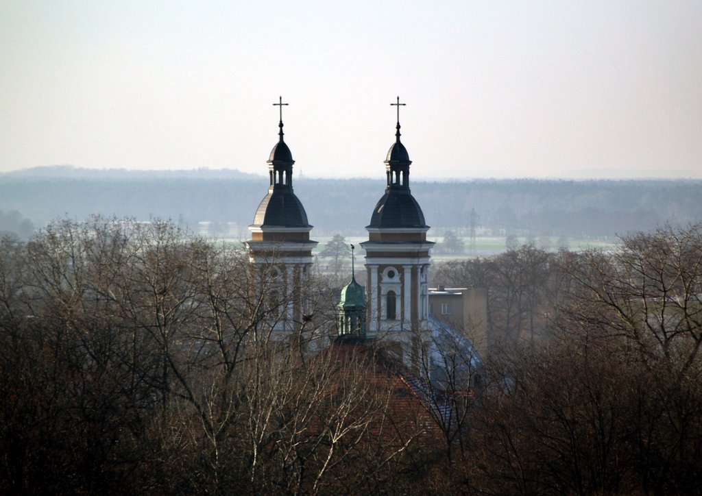 Krotoszyn Kościół pw. Św. Andrzeja Boboli