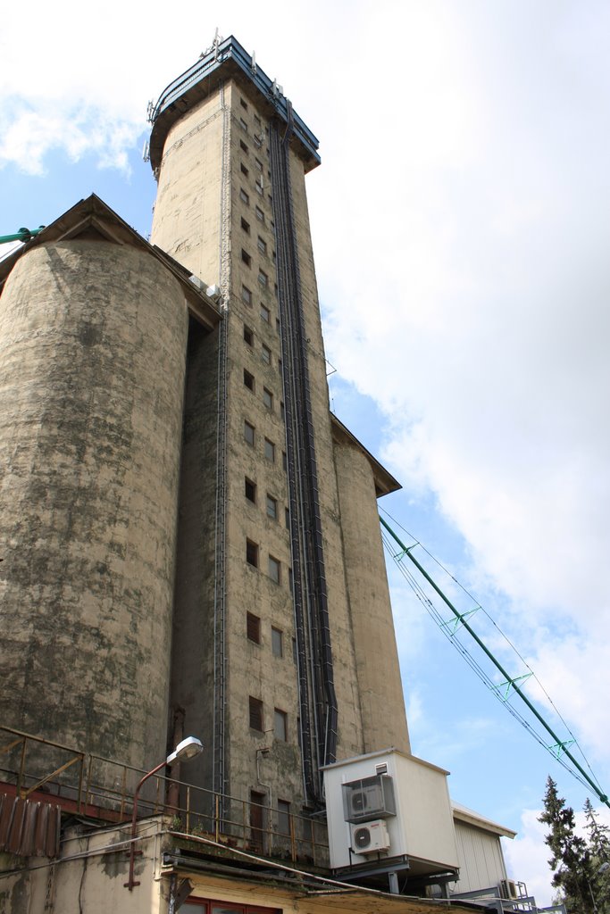 Krotoszyn elewator