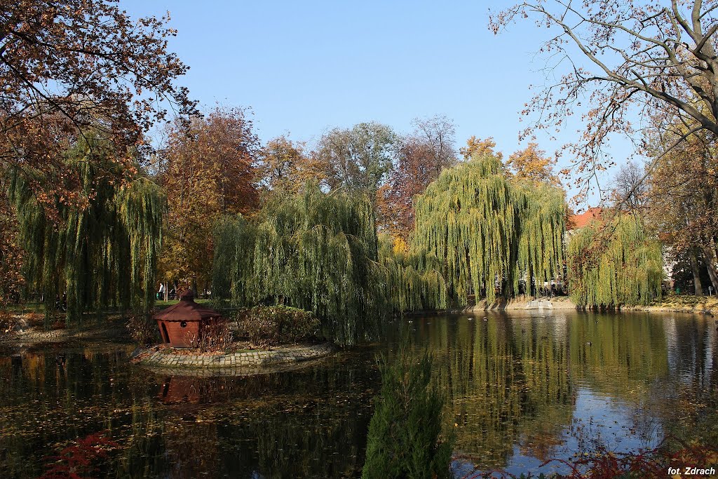 Park Krotoszyn
