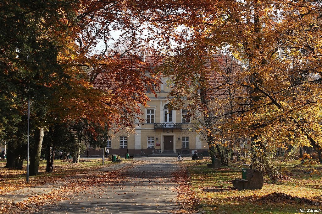 Pałac Gałeckich
