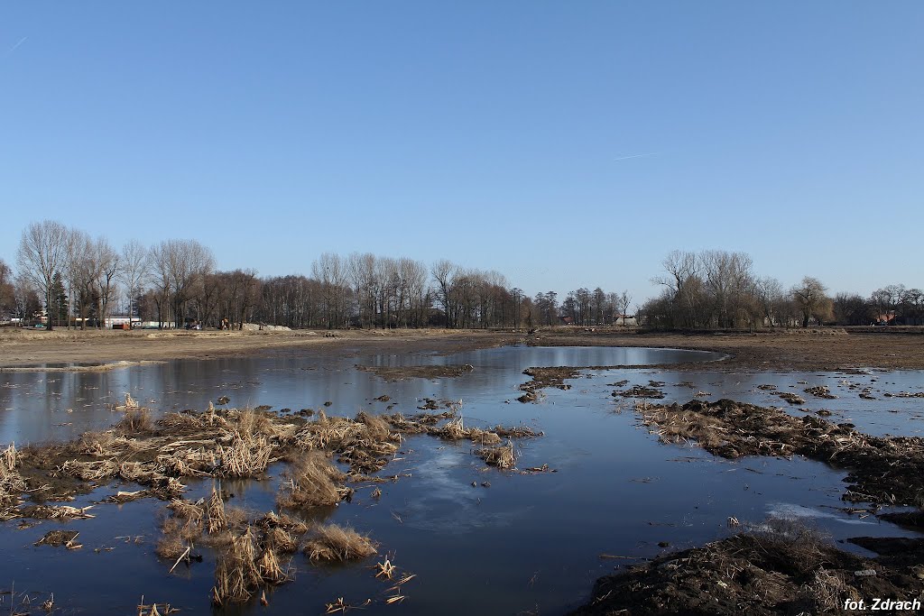 Staw Błonie Krotoszyn