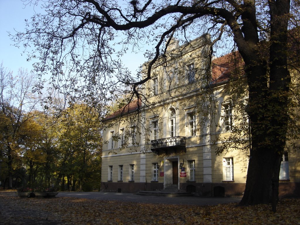 Pałac Gałeckich