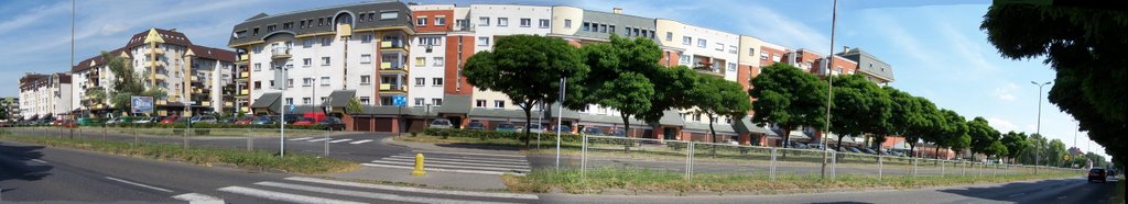 Polonia, Leszno, Rondo Kombatantów