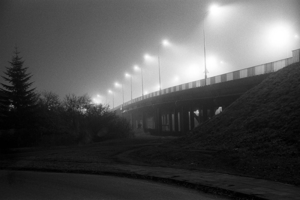 Leszno in the fog 4