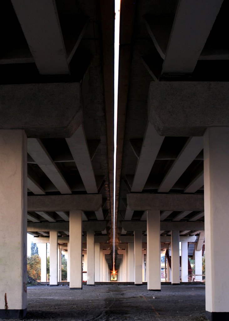 the flyover