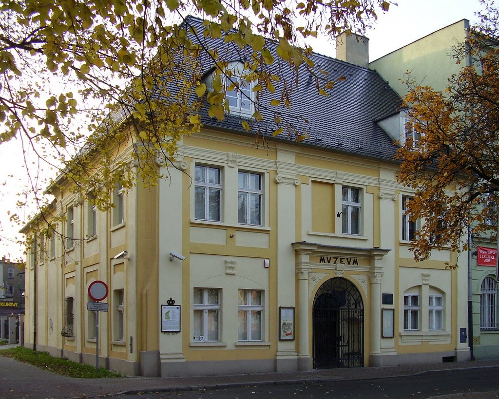 Muzeum