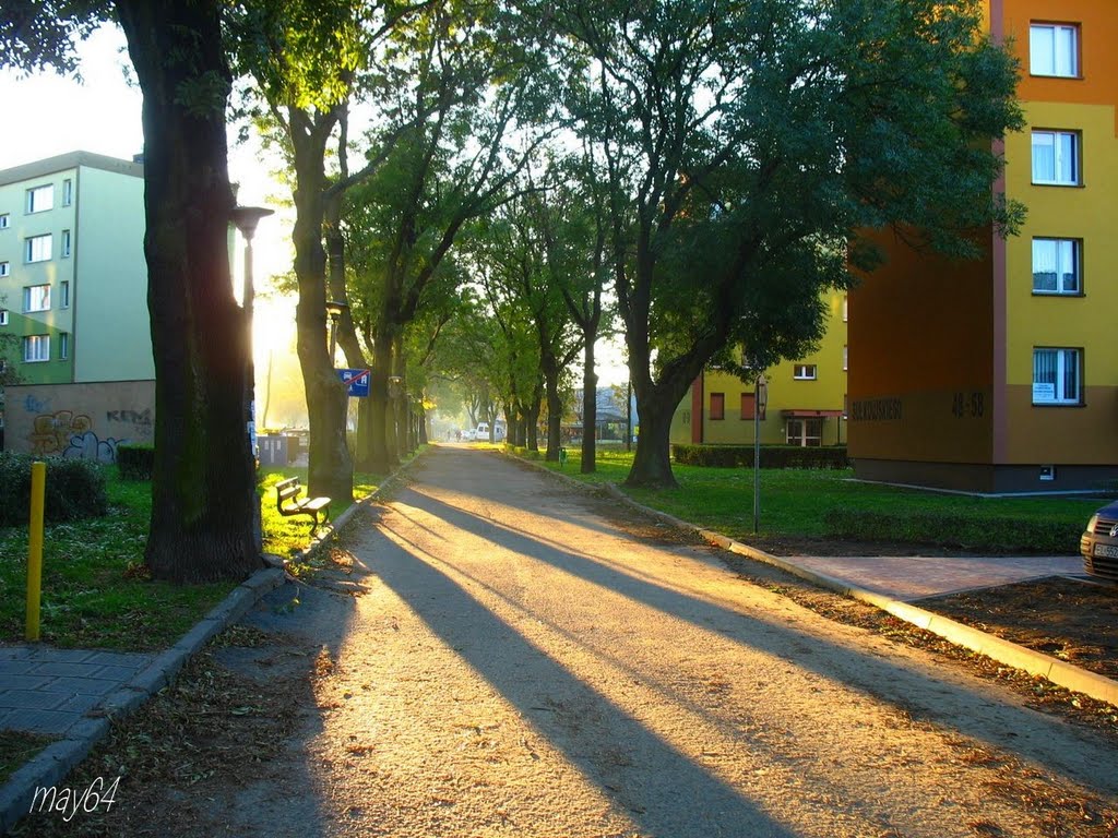 Leszno : Sułkowskiego