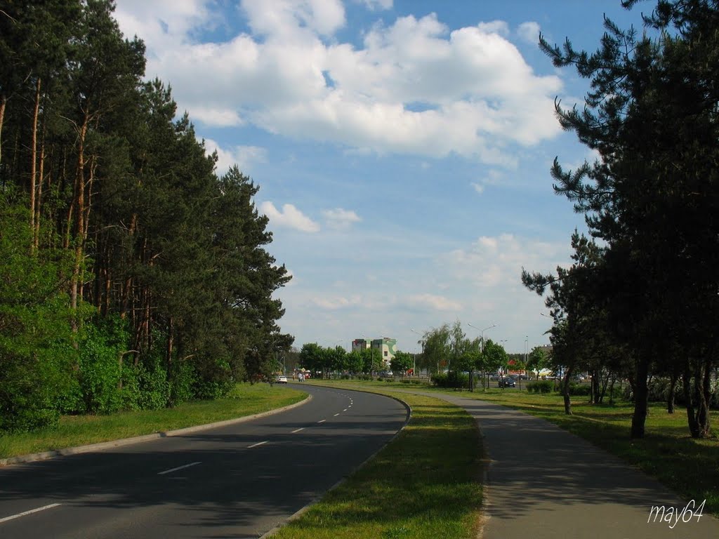Leszno : Zamenhofa - droga prowadząca w kierunku Rejtana