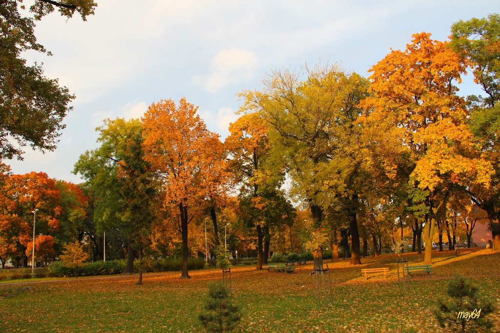 Leszno, Jana Pawła II - park Jonstona