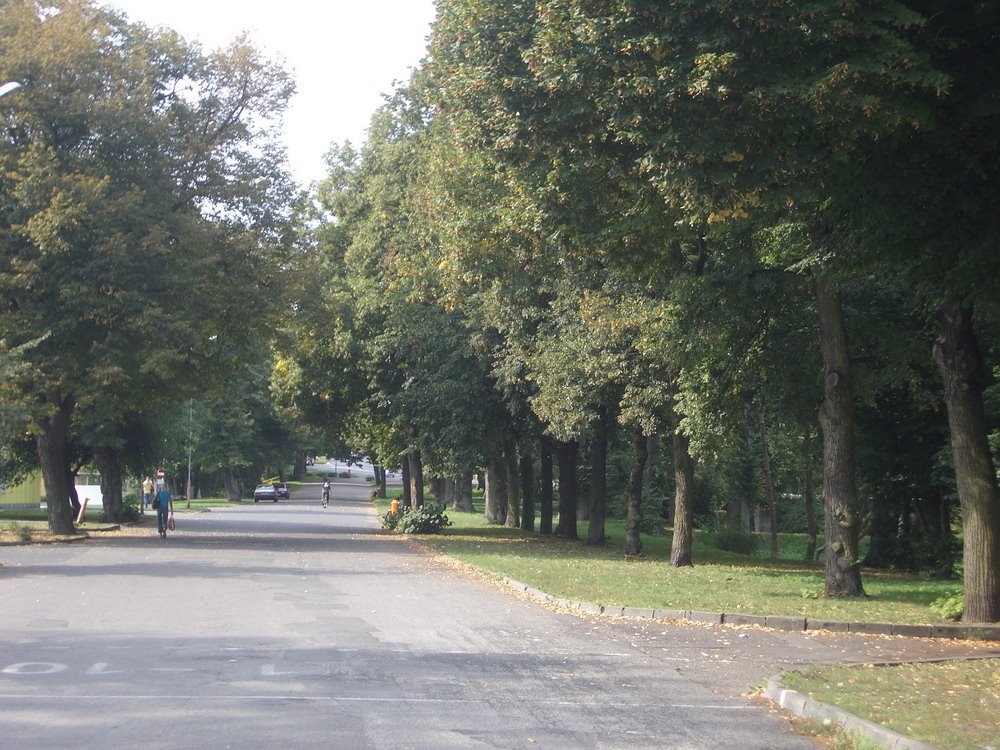 Schneidemühl. Stadtpark und Berliner Straße