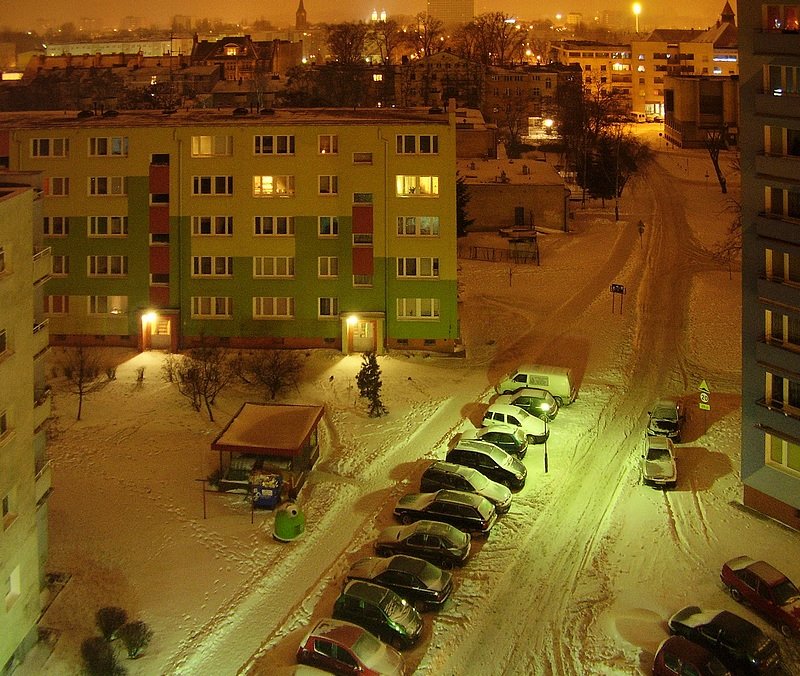 Winter