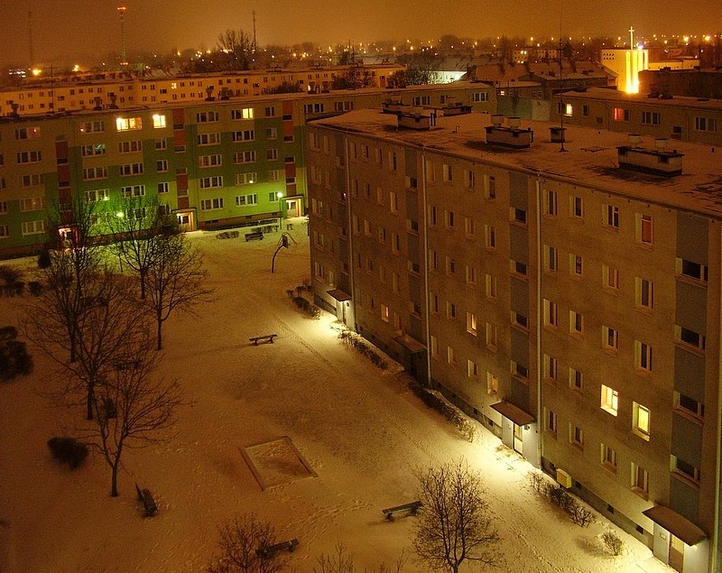 Winter