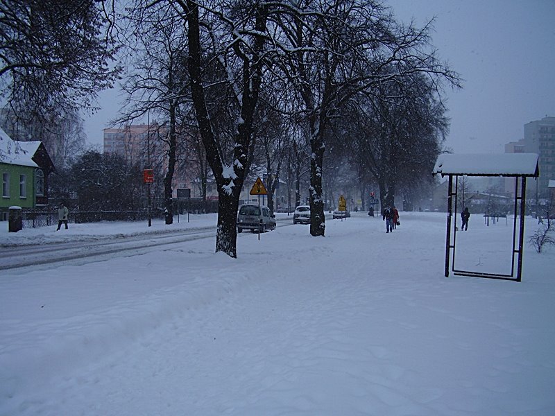winter