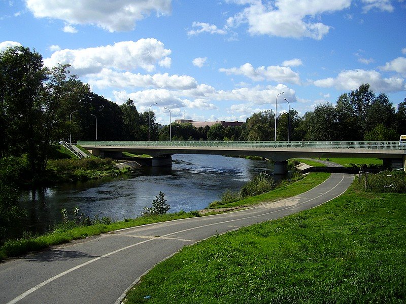 Most Zygmunta Starego