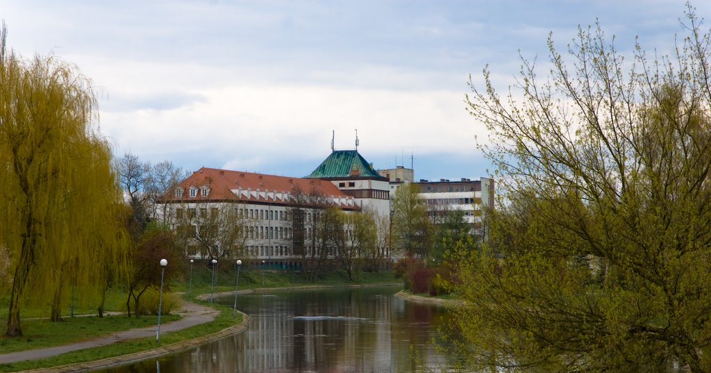 Piła, Starostwo Powiatowe: widok z "parku na wyspie"