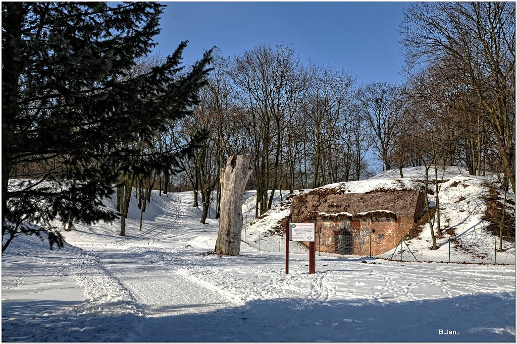 Poznań, Park Cytadela - dla przypomnienia jak wygląda śnieg i słońce zimą..
