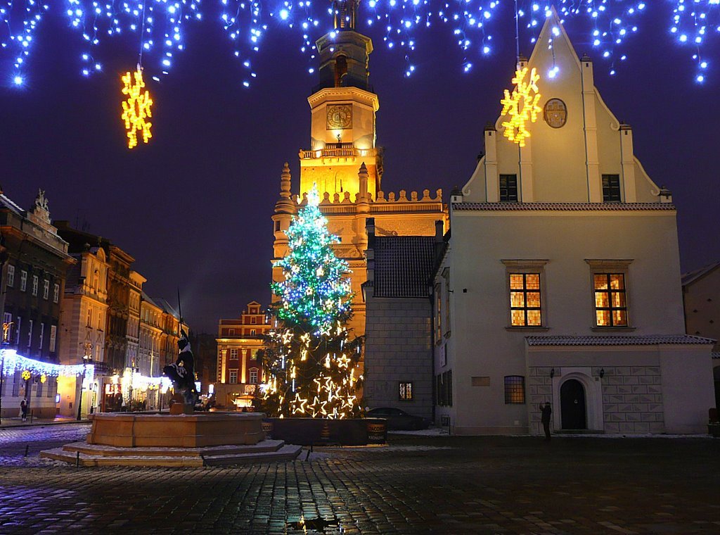 * * * WESOŁYCH ŚWIĄT i SZCZĘŚLIWEGO Nowego 2010 Roku * * * * Merry Christmas and  a Happy New Year * * *