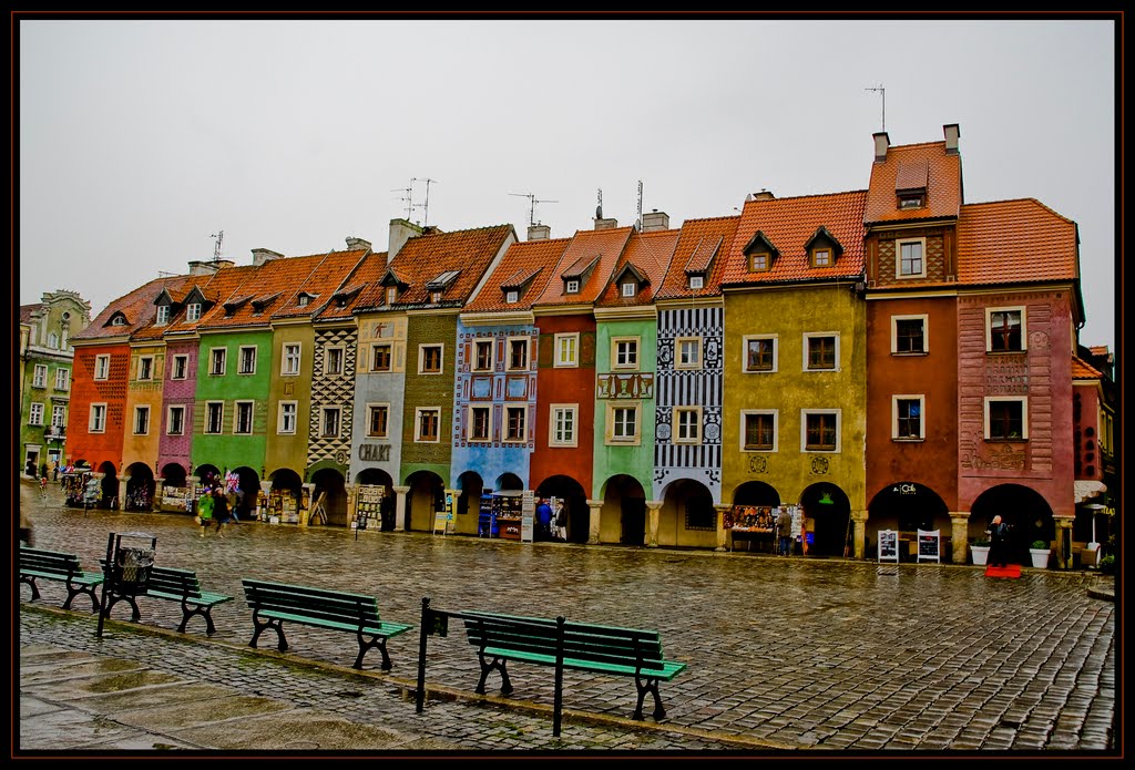 Poznań - Deszczowe kamieniczki / The houses in the rain - malby